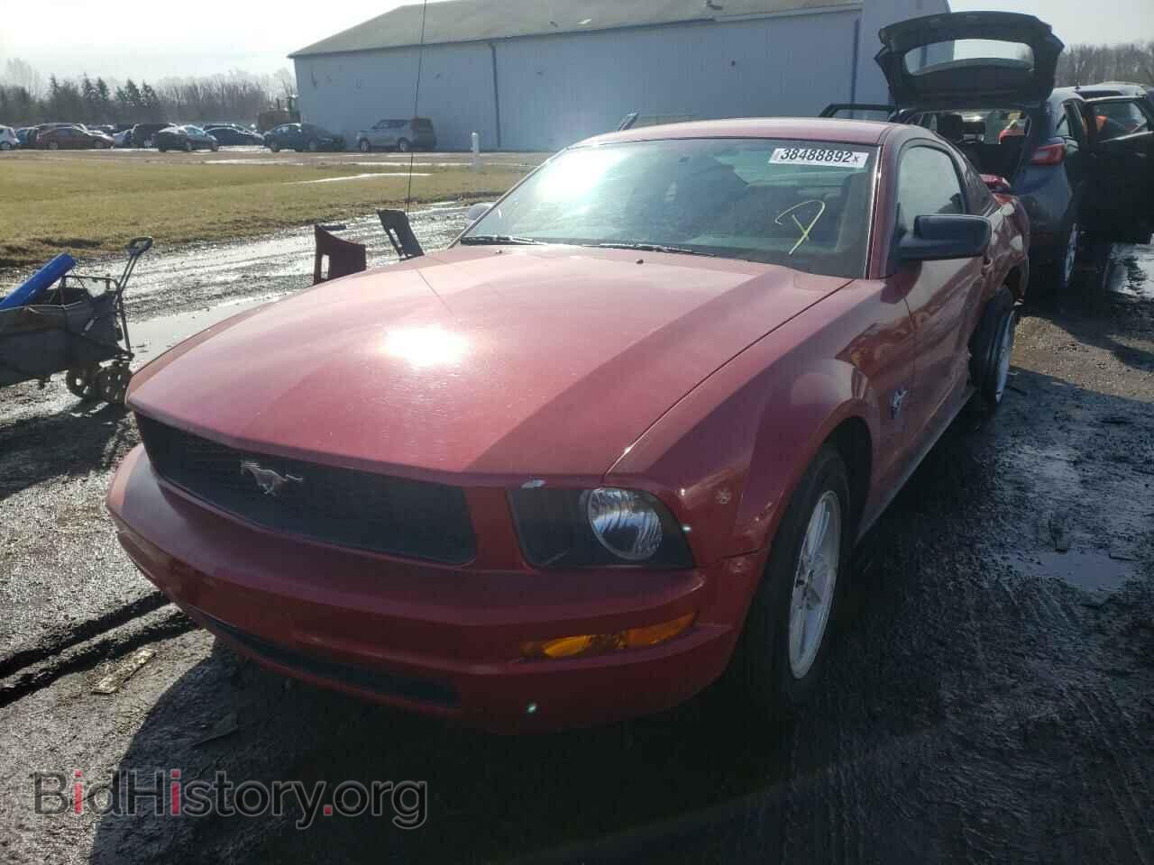 2009 FORD MUSTANG - VIN: 1ZVHT80N895104141 - Фото 2