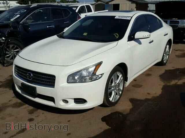 2010 NISSAN MAXIMA - VIN: 1N4AA5AP8AC846487 - Фото 2