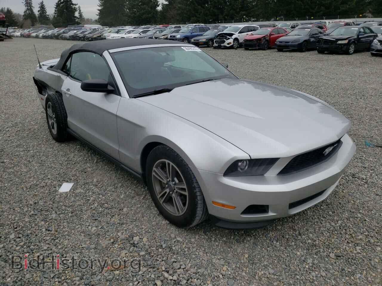 Фотография 1ZVBP8EM2C5286033 - FORD MUSTANG 2012