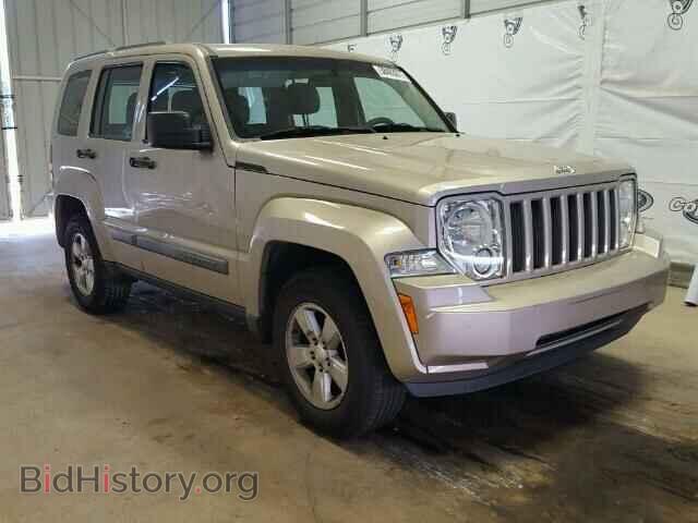 Фотография 1J4PP2GK7BW551498 - JEEP LIBERTY 2011