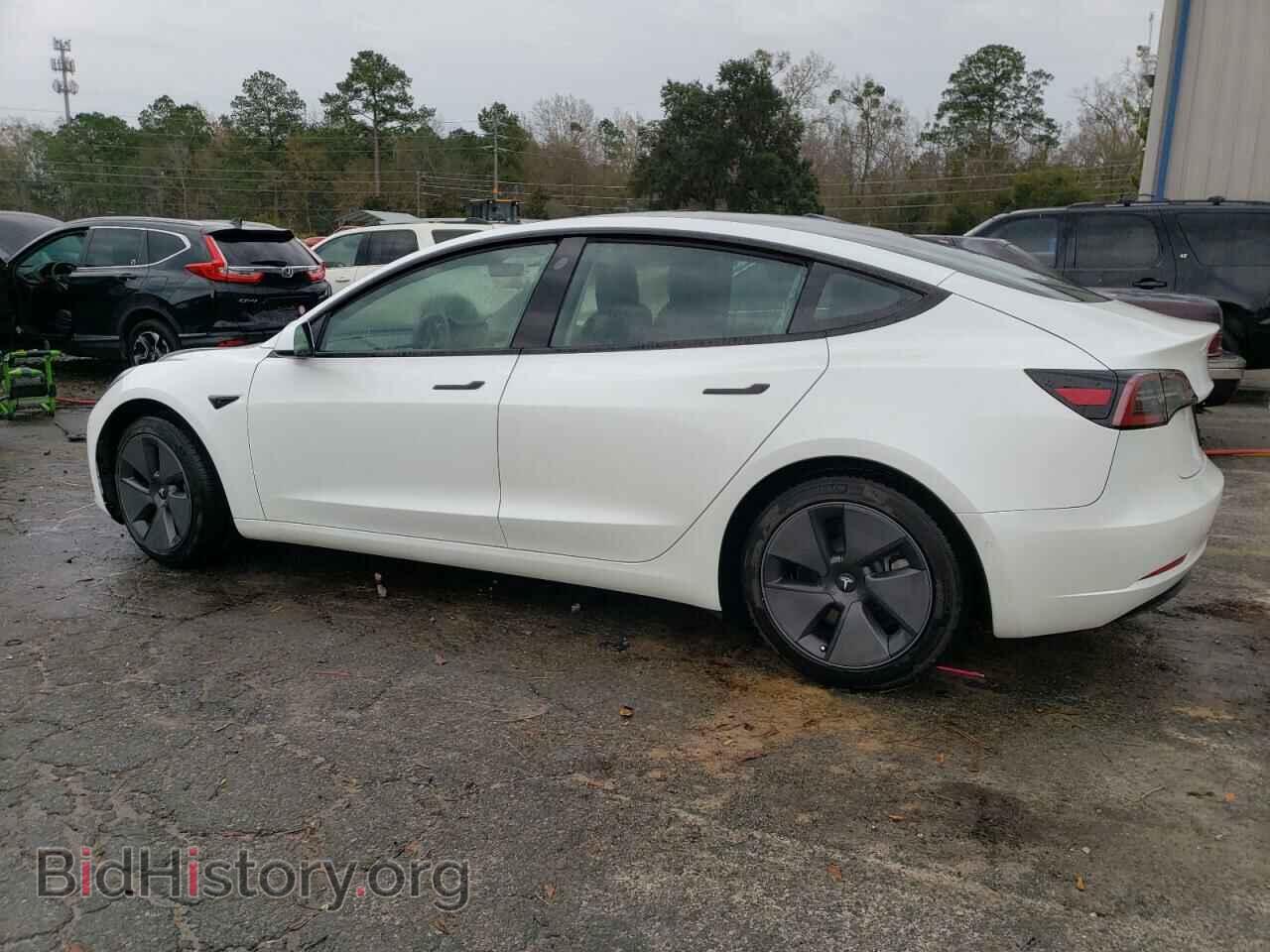 2021 TESLA MODEL 3 - VIN: 5YJ3E1EA1MF016883 - Фото 2