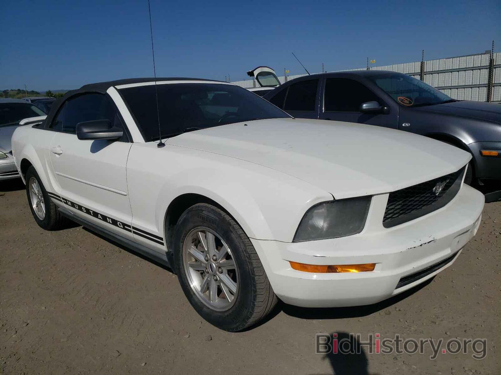 Photo 1ZVFT84N265217760 - FORD MUSTANG 2006