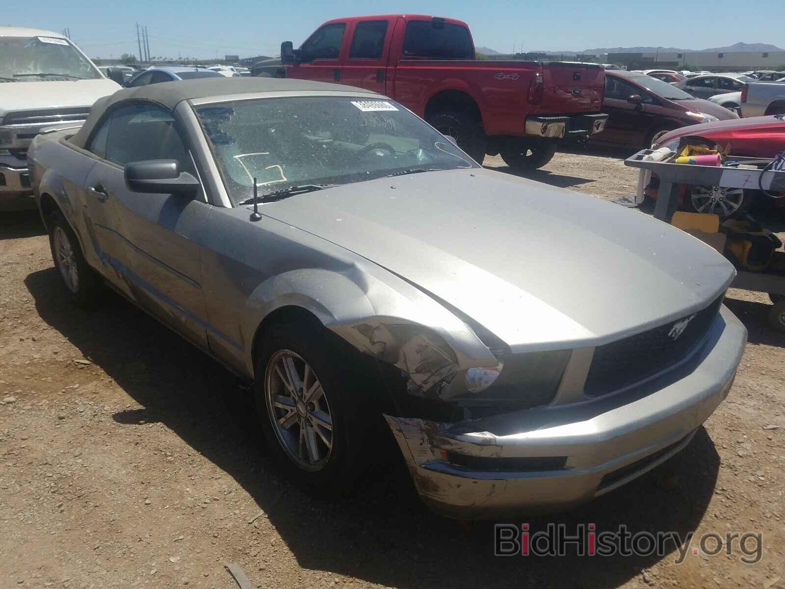 Photo 1ZVHT84N985188317 - FORD MUSTANG 2008