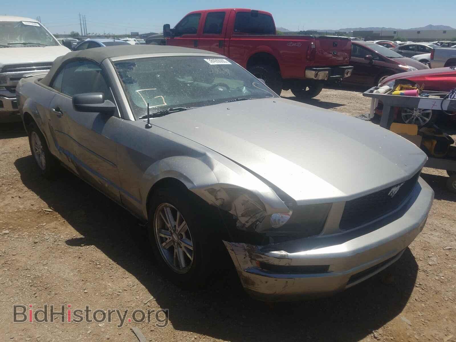 Фотография 1ZVHT84N985188317 - FORD MUSTANG 2008