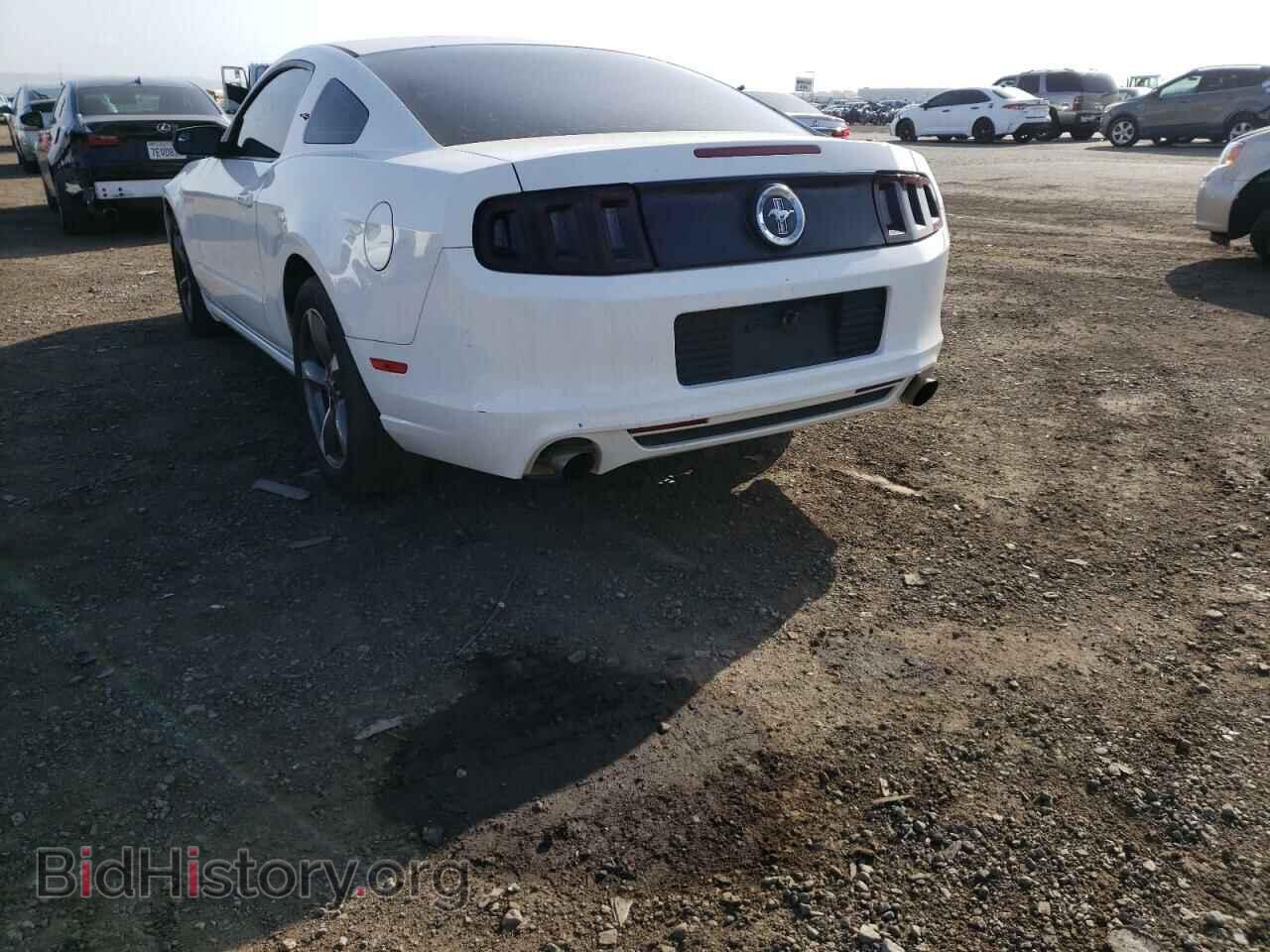 2013 FORD MUSTANG - VIN: 1ZVBP8AM2D5275895 - Фото 3