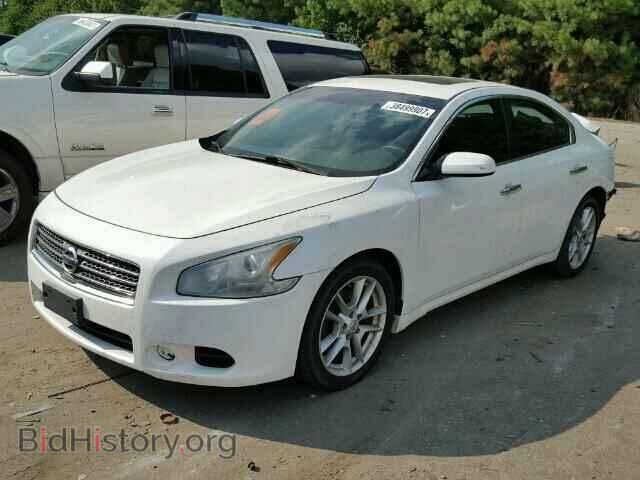 2009 NISSAN MAXIMA - VIN: 1N4AA51E29C828416 - Фото 2