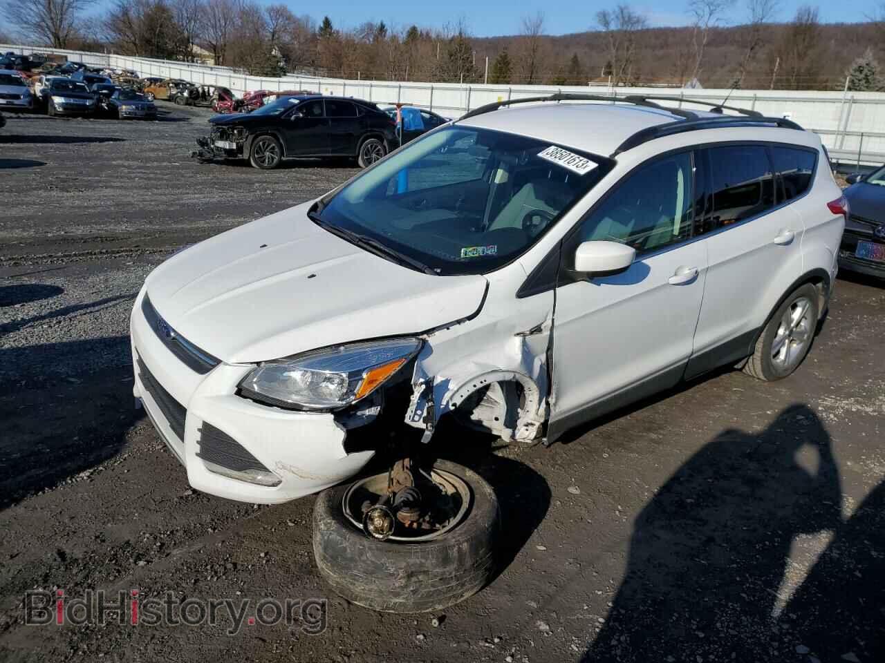 Фотография 1FMCU0GX8EUA10310 - FORD ESCAPE 2014