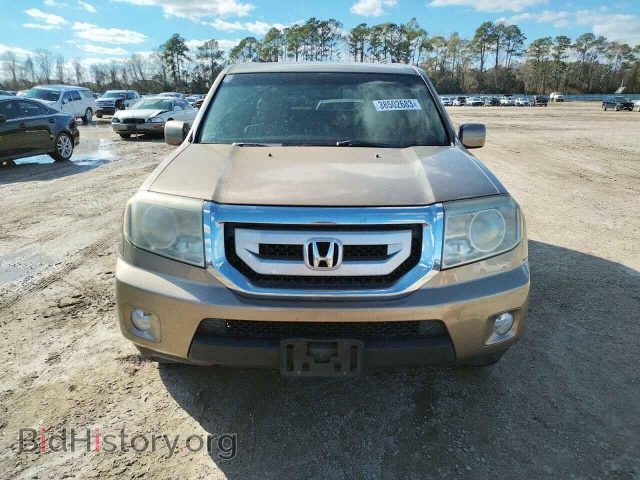 2010 HONDA PILOT - VIN: 5FNYF3H50AB005043 - Фото 5