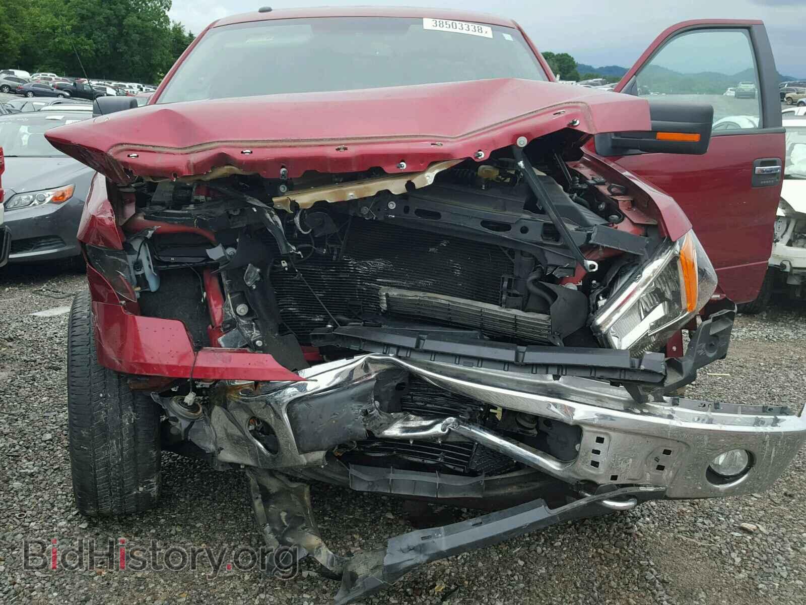 2013 FORD F150 - VIN: 1FTFW1ET6DFD08102 - Фото 7