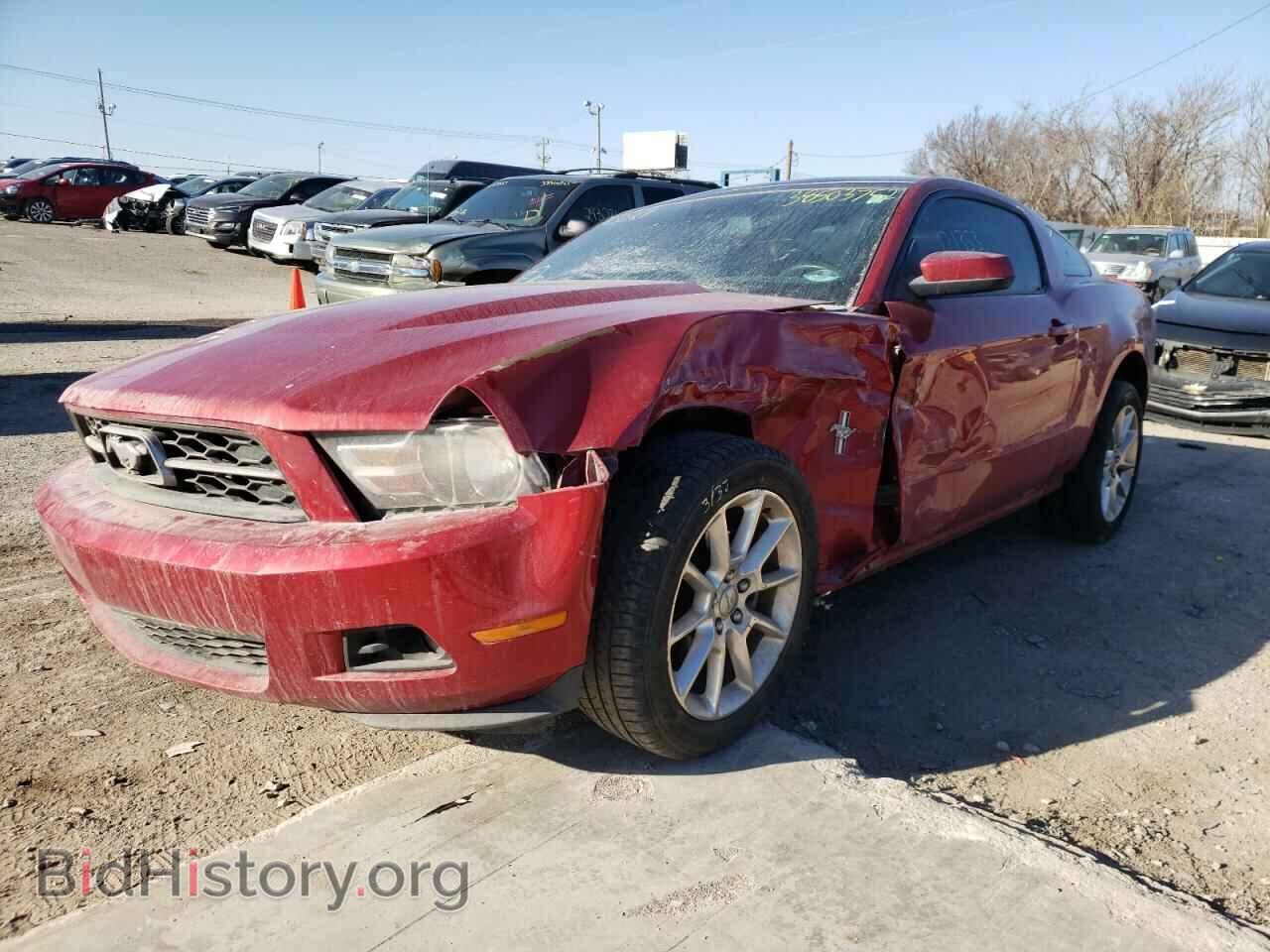2010 FORD MUSTANG - VIN: 1ZVBP8AN8A5113581 - Фото 2