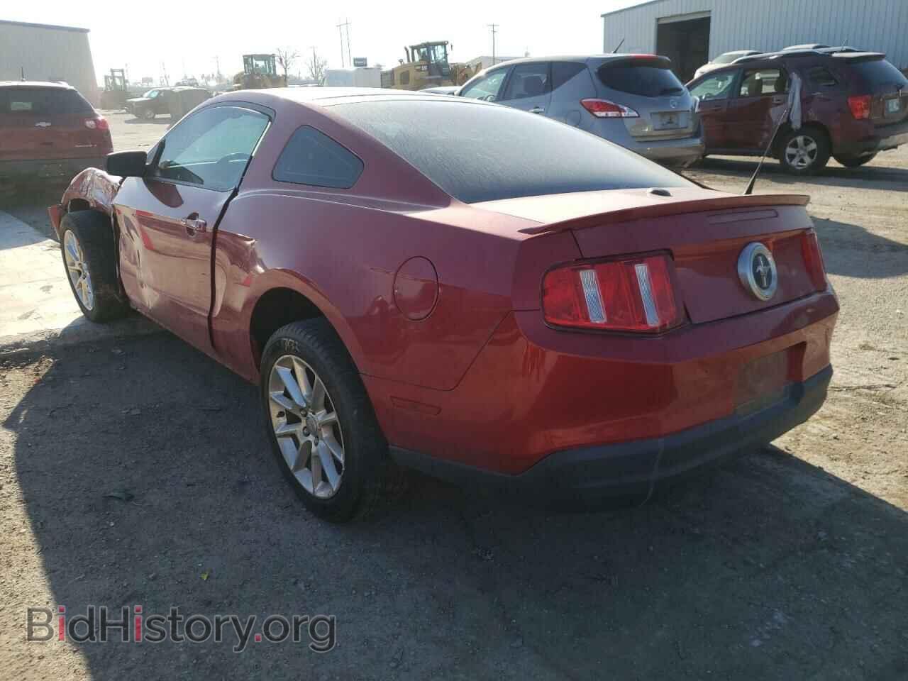 2010 FORD MUSTANG - VIN: 1ZVBP8AN8A5113581 - Фото 3