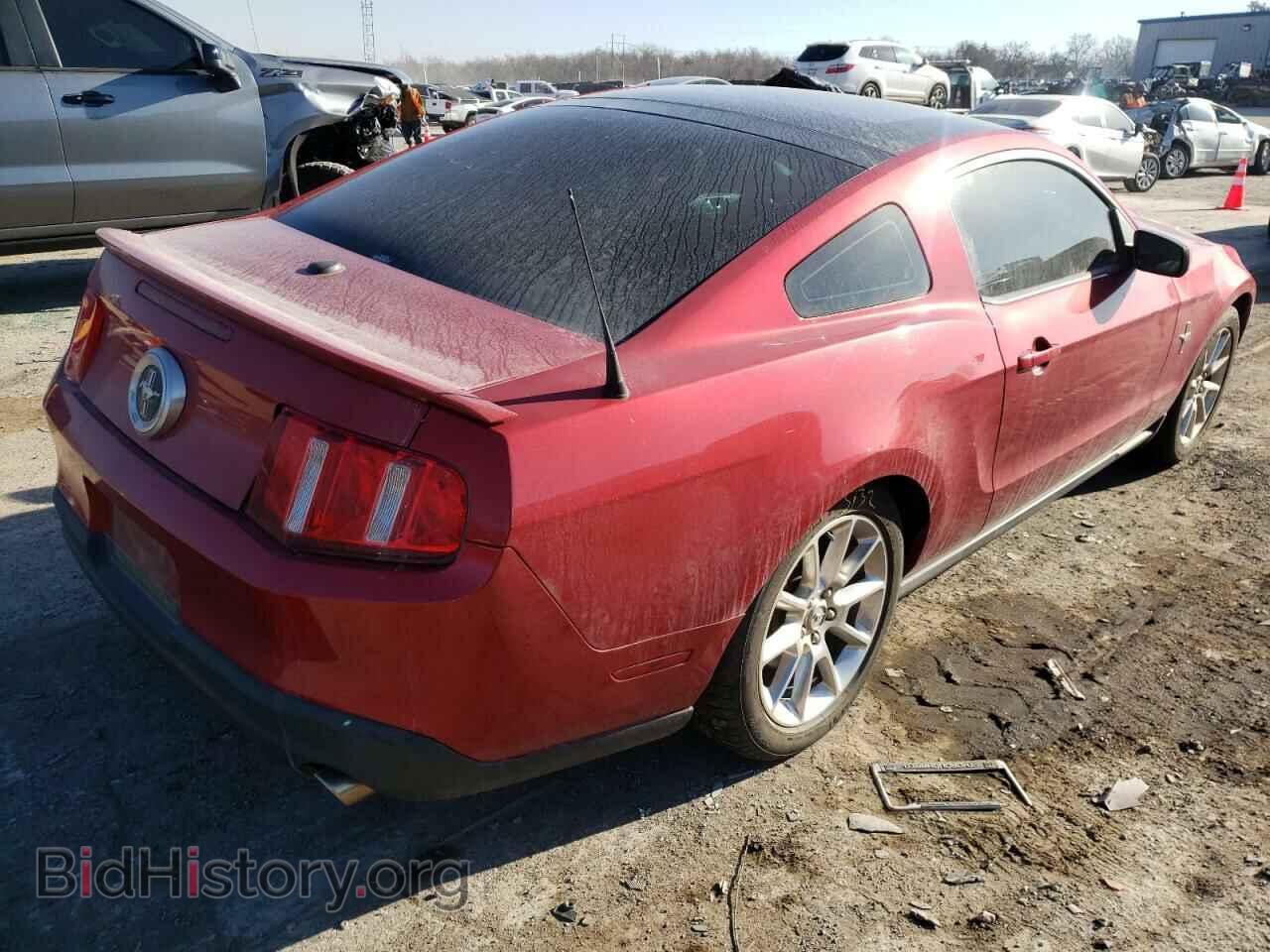 2010 FORD MUSTANG - VIN: 1ZVBP8AN8A5113581 - Фото 4