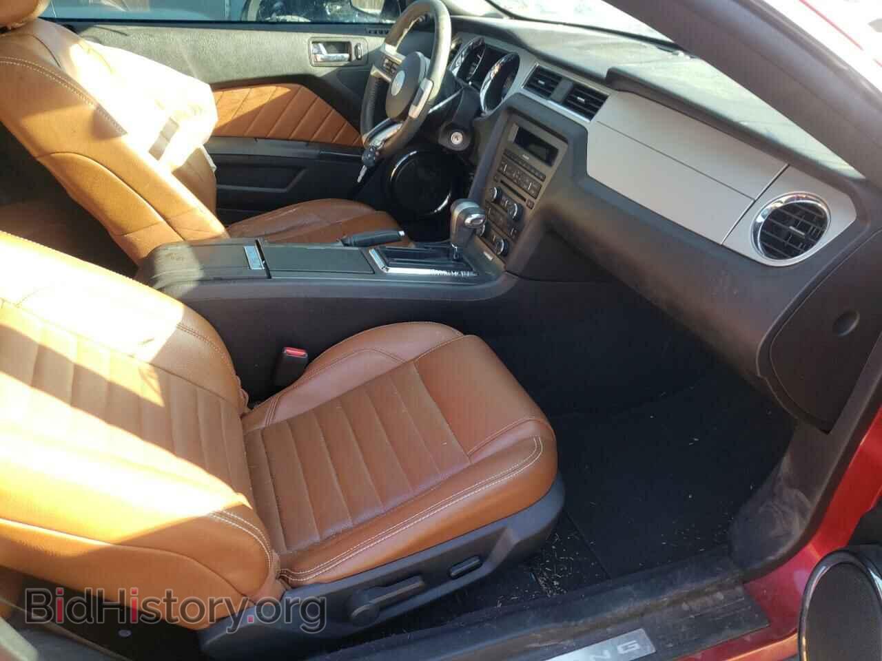 2010 FORD MUSTANG - VIN: 1ZVBP8AN8A5113581 - Фото 5