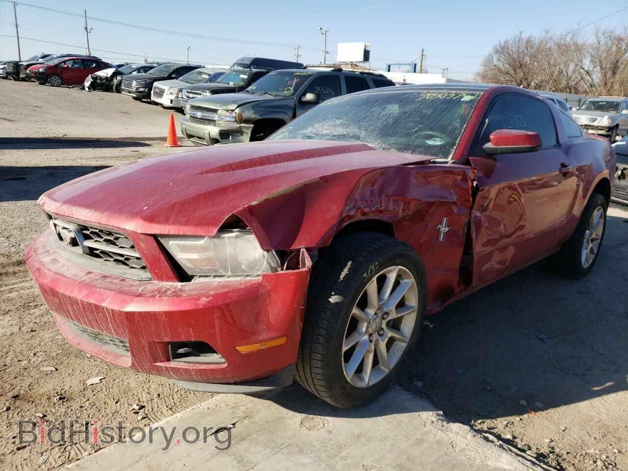 2010 FORD MUSTANG - VIN: 1ZVBP8AN8A5113581 - Фото 9