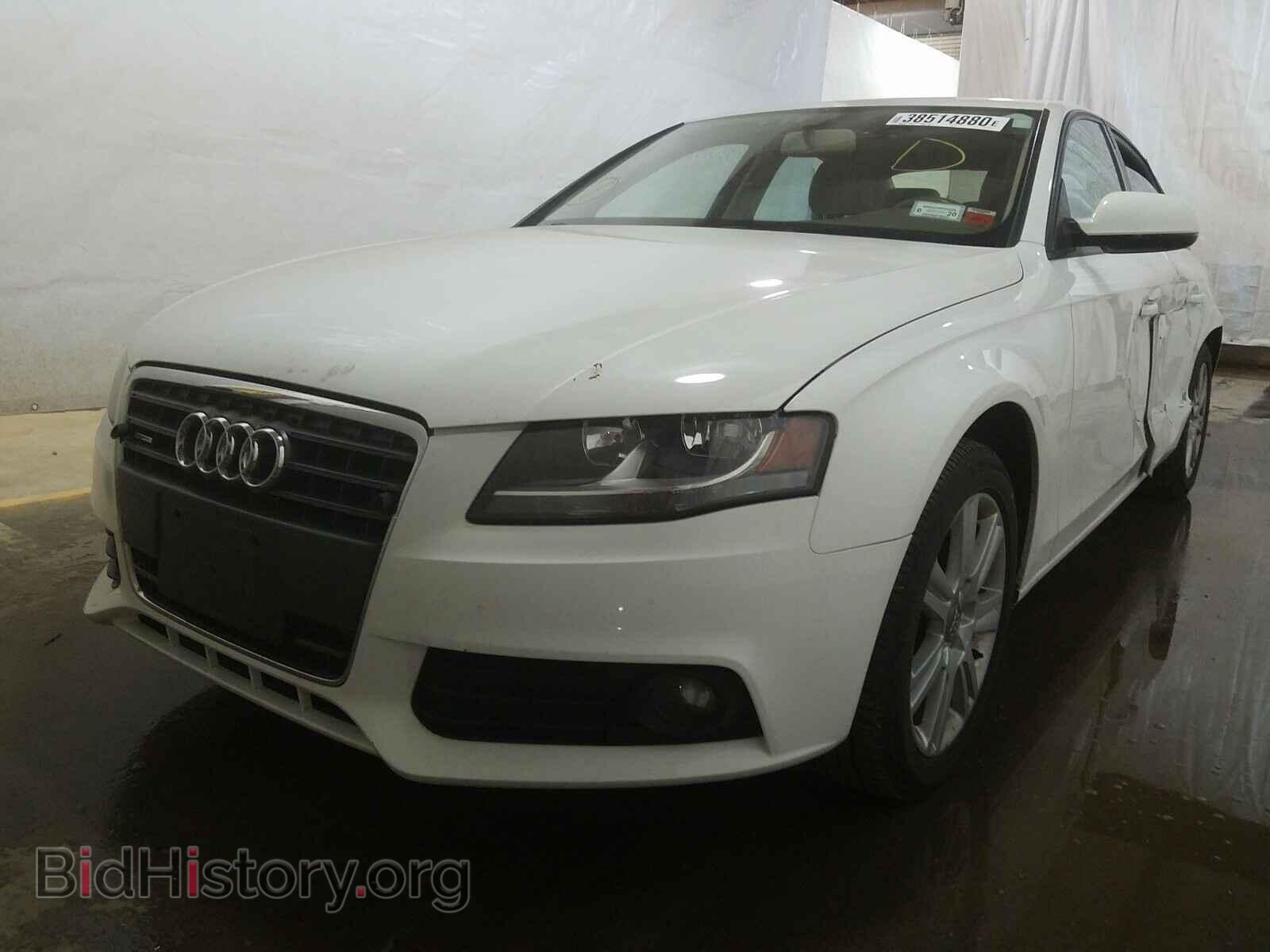 2010 AUDI A4 - VIN: WAUBFAFL4AN043272 - Фото 2