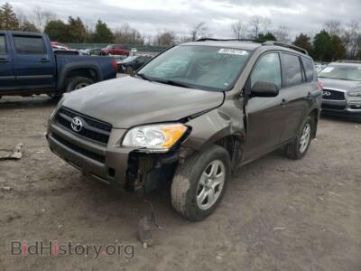 2012 Toyota RAV4, gray — VIN 2T3BF4DV1CW256314, Copart