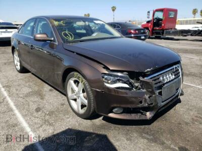 2011 Audi A4 A4 Premium, brown — VIN WAUEFAFL0BN048502, Copart