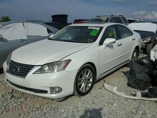 2011 LEXUS ES 350 - VIN: JTHBK1EG6B2443029 - Фото 2
