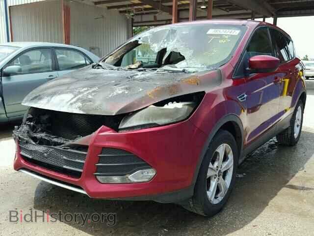 2014 FORD ESCAPE - VIN: 1FMCU0GX4EUA78376 - Фото 2