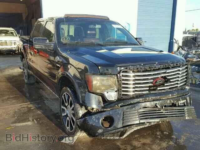 Photo 1FTFW1EV0AFD32411 - FORD F150 2010