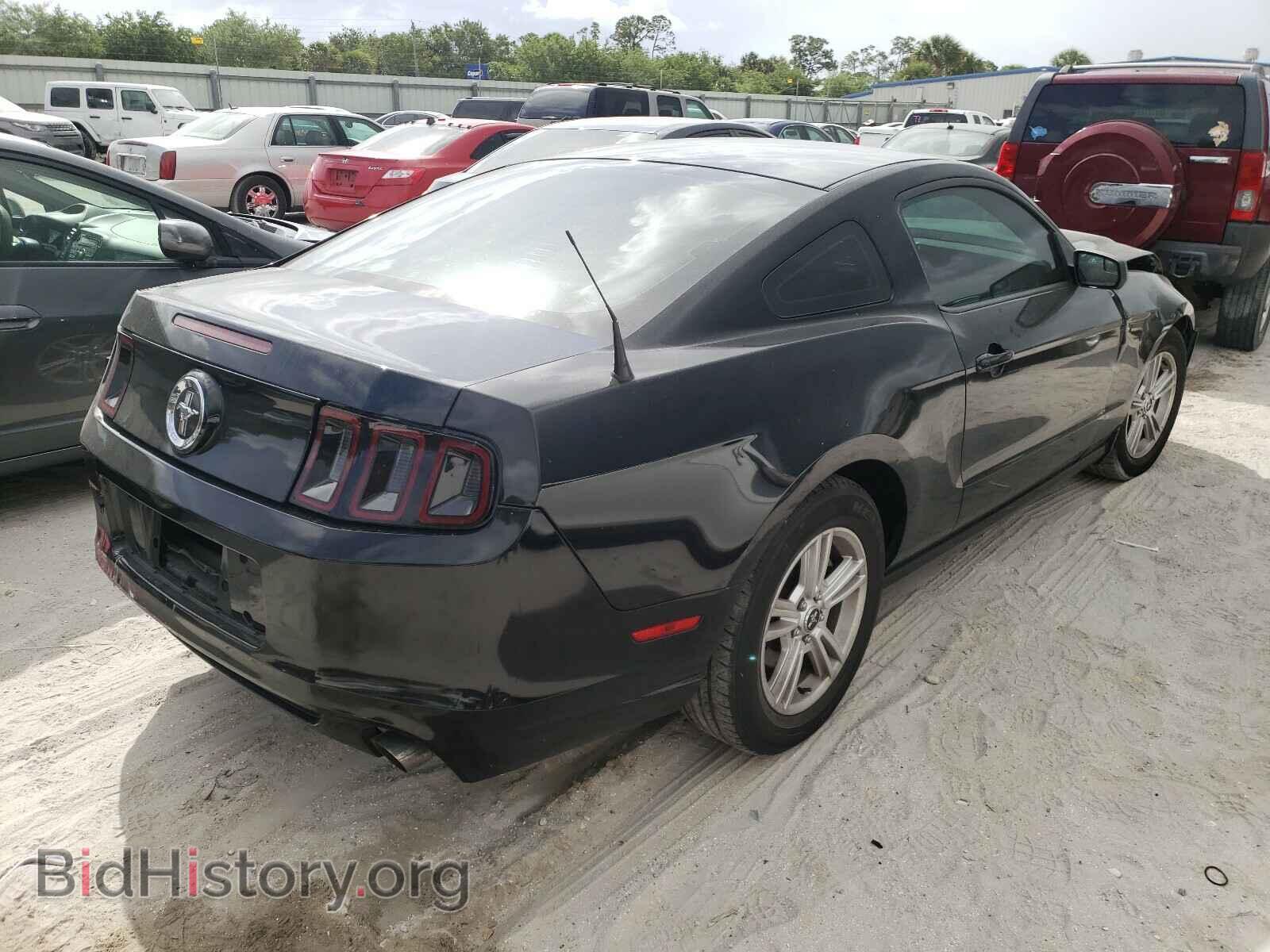 2014 FORD MUSTANG - VIN: 1ZVBP8AM2E5302109 - Фото 4