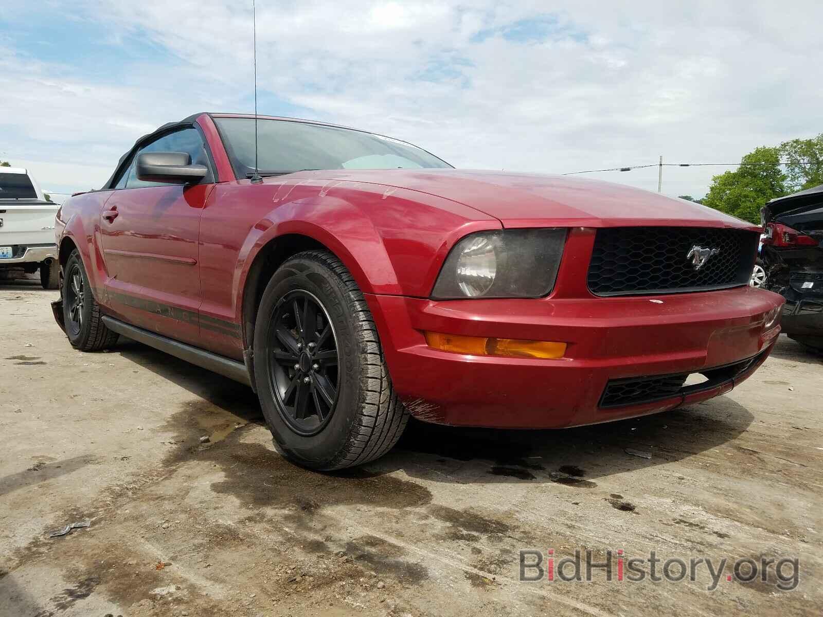 Photo 1ZVHT84N685182121 - FORD MUSTANG 2008