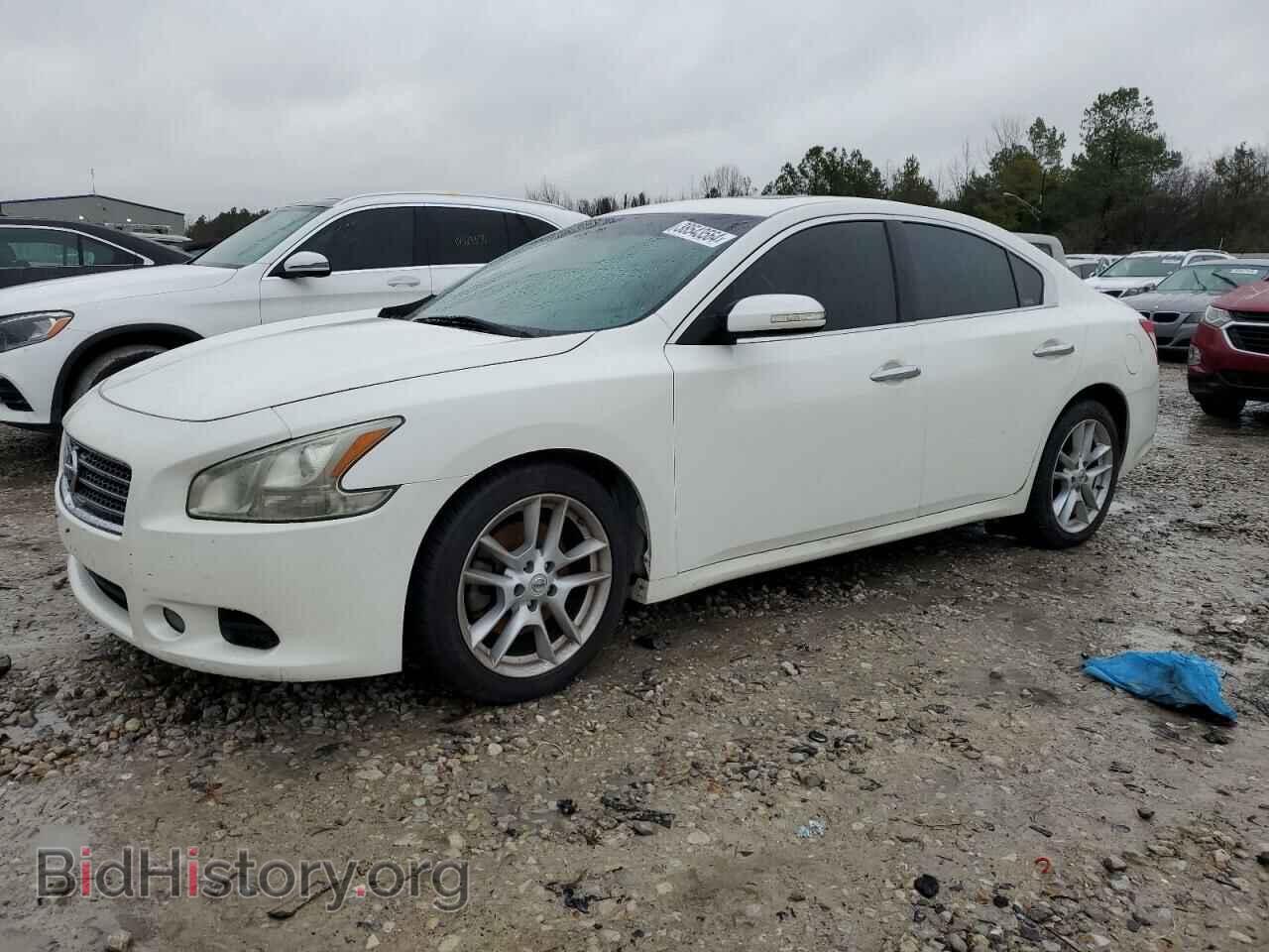 Фотография 1N4AA5AP5BC818695 - NISSAN MAXIMA 2011