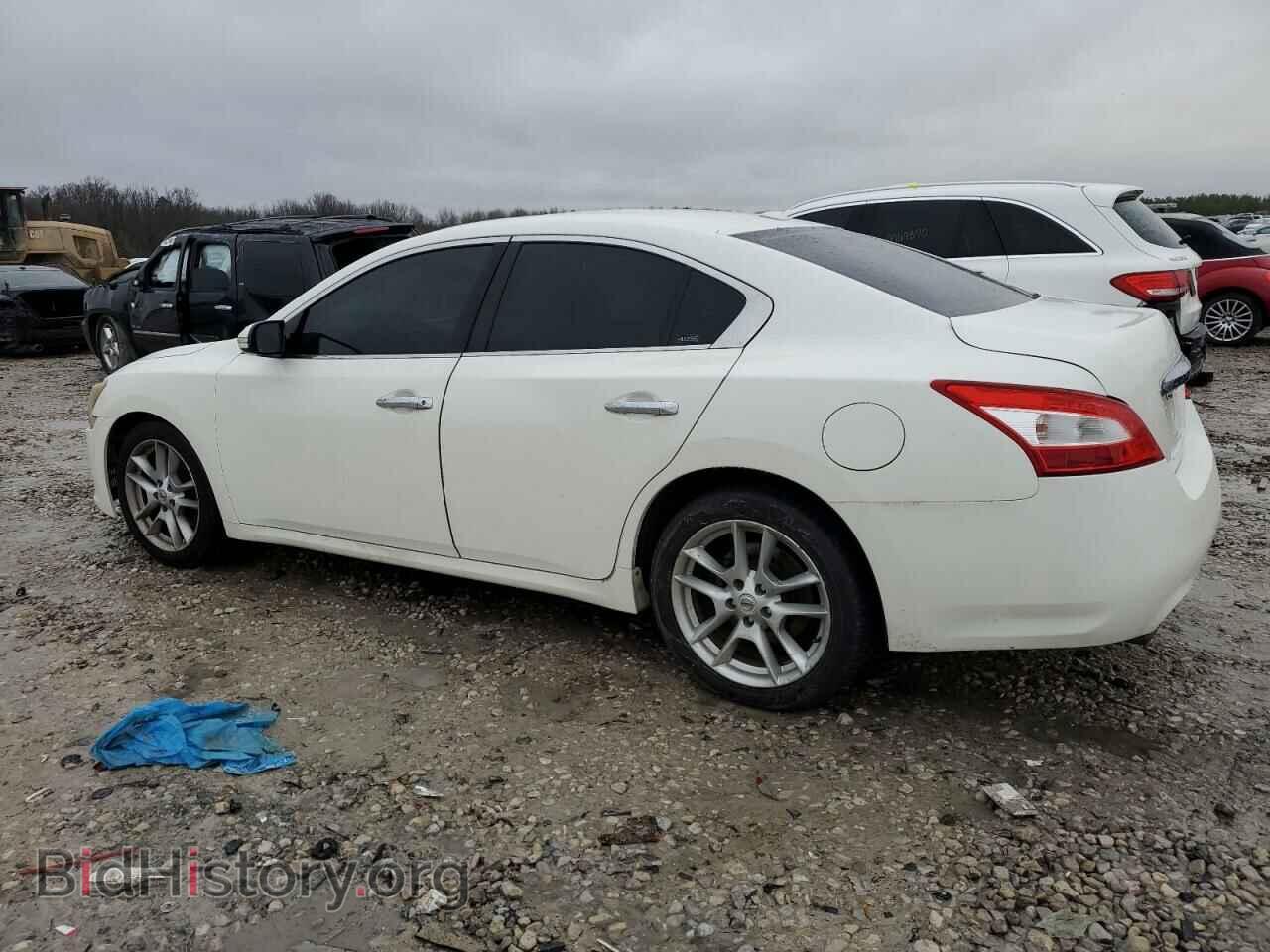 2011 NISSAN MAXIMA - VIN: 1N4AA5AP5BC818695 - Фото 2