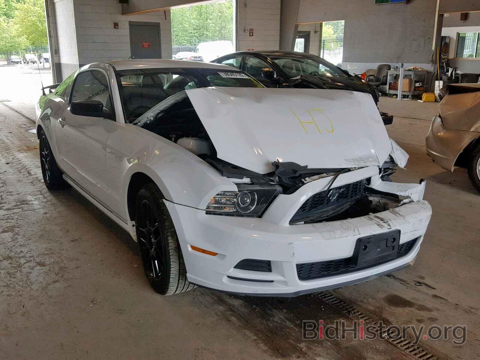 Photo 1ZVBP8AM2E5286123 - FORD MUSTANG 2014