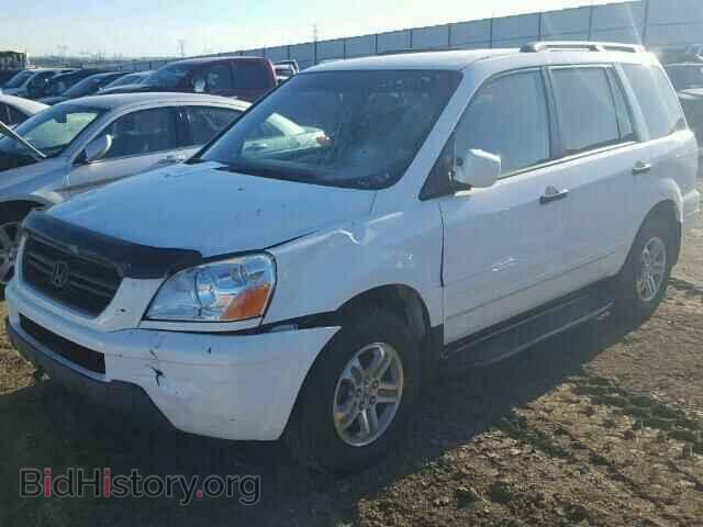 2005 HONDA PILOT - VIN: 2HKYF184X5H564134 - Фото 2