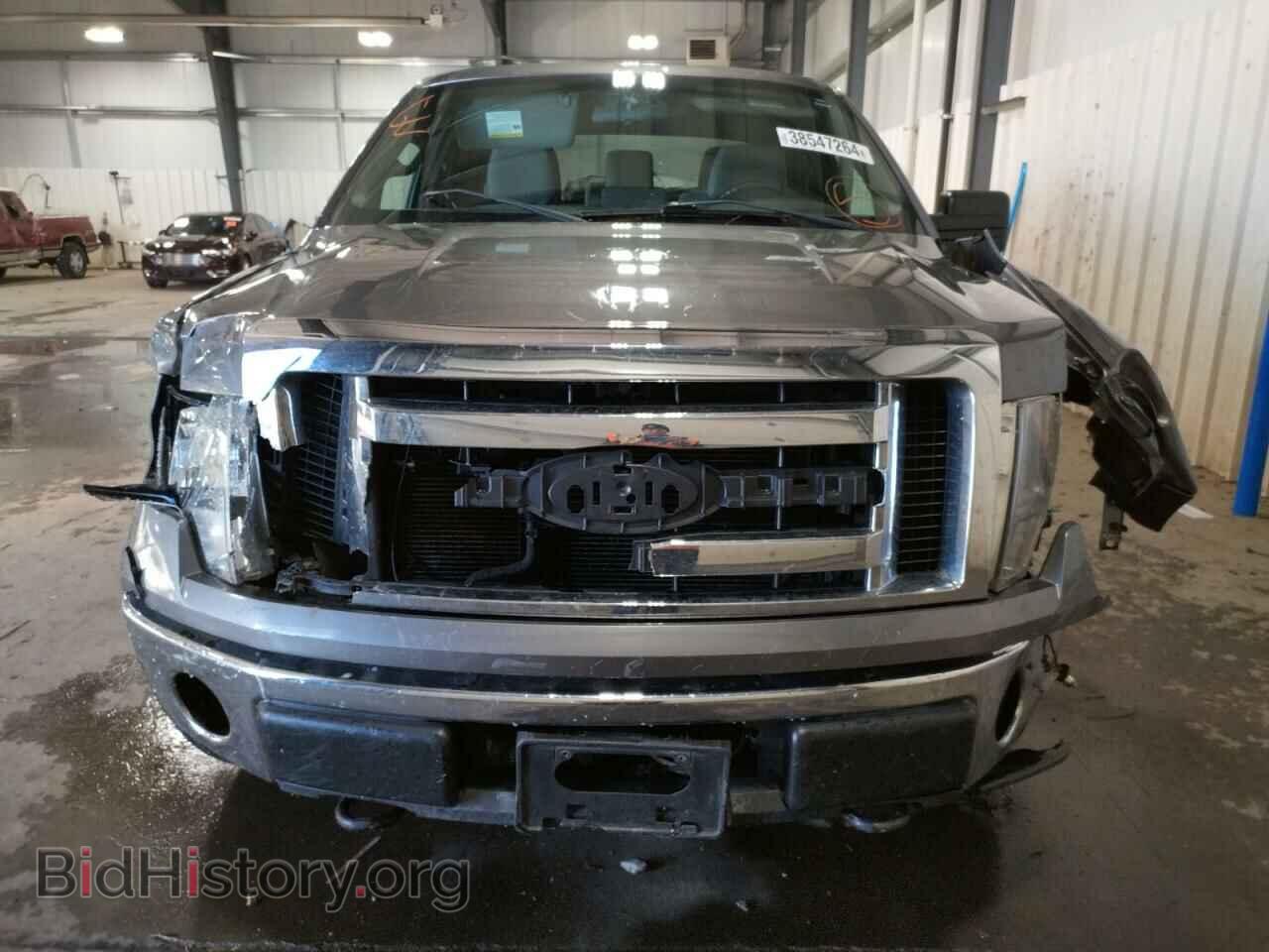 2011 FORD F-150 - VIN: 1FTFX1EF1BFA08116 - Фото 5