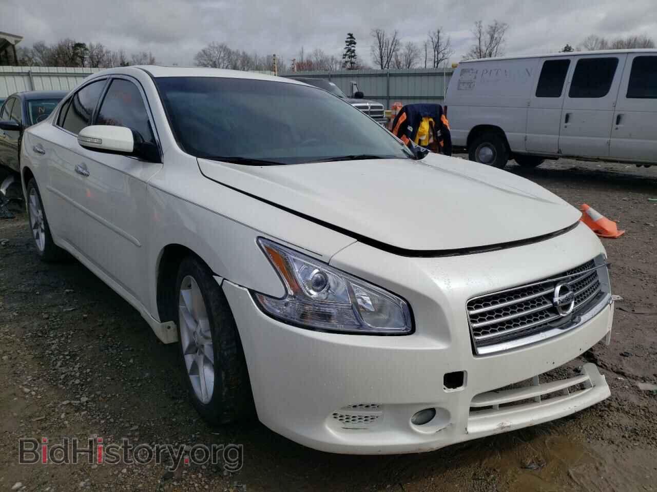 Фотография 1N4AA5AP6BC821685 - NISSAN MAXIMA 2011