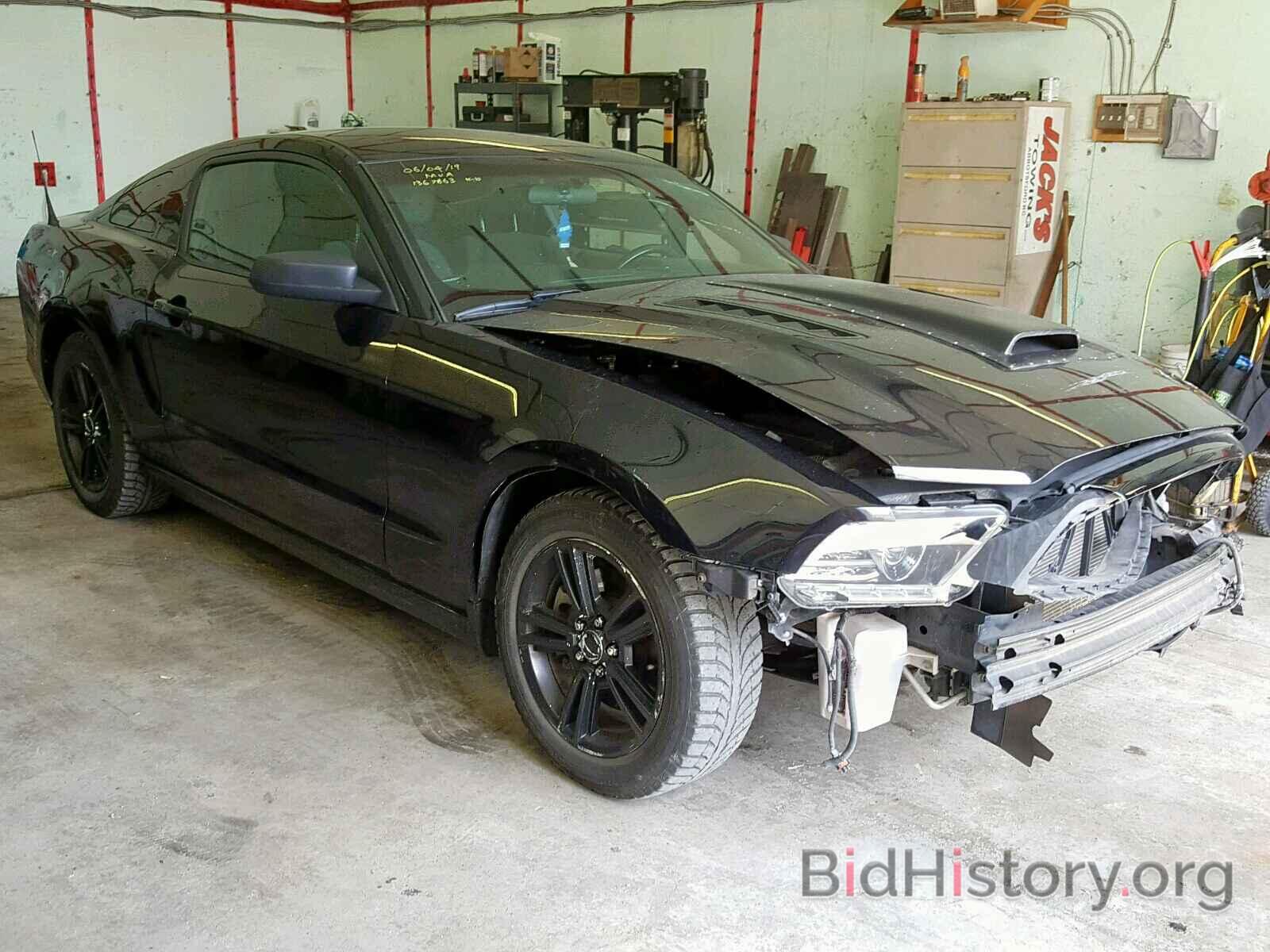 Photo 1ZVBP8AM4D5214662 - FORD MUSTANG 2013