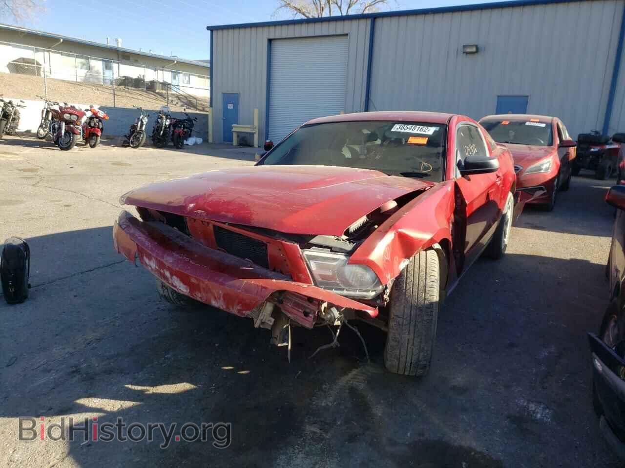 2011 FORD MUSTANG - VIN: 1ZVBP8AM2B5119482 - Фото 2