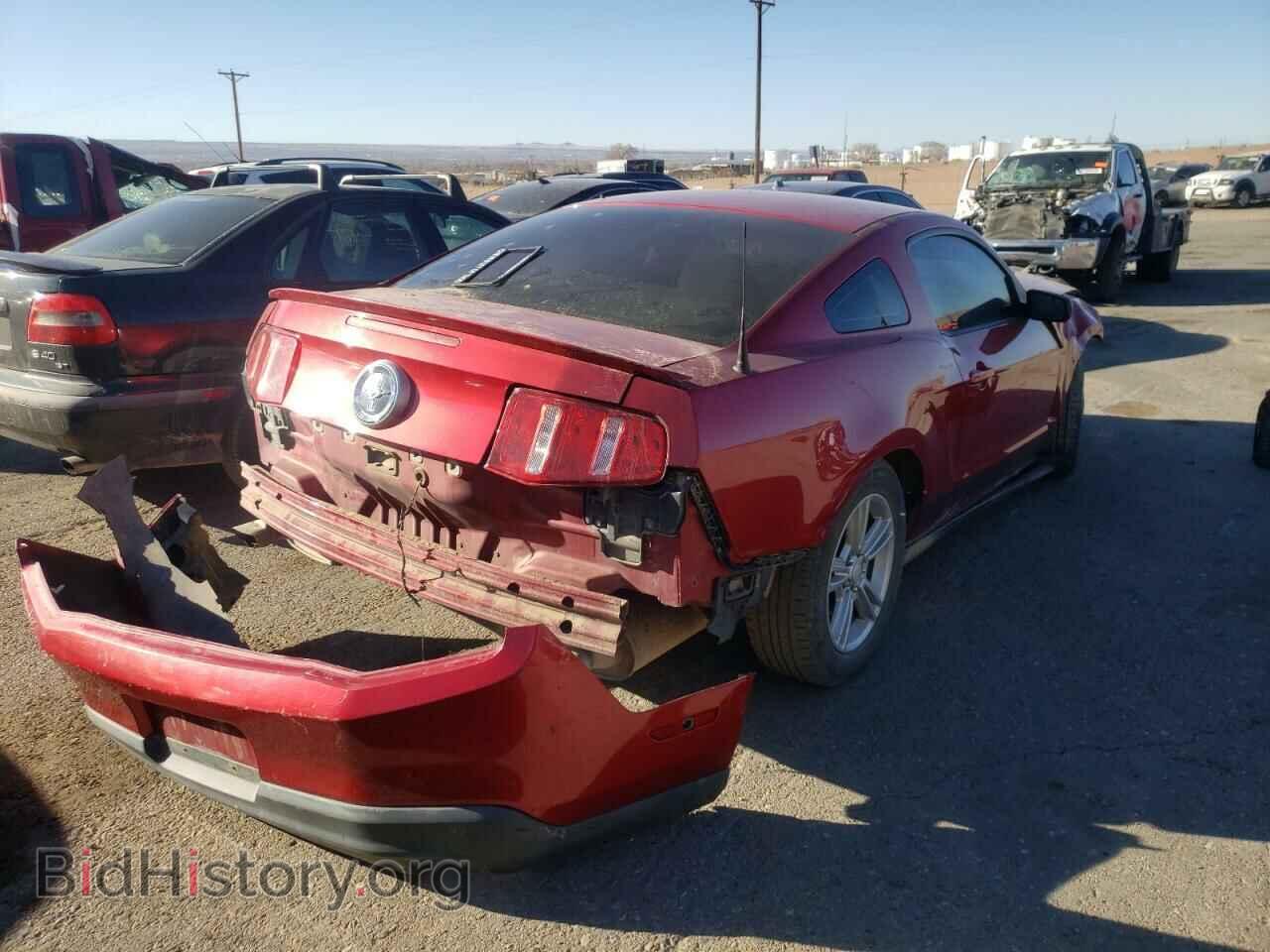 2011 FORD MUSTANG - VIN: 1ZVBP8AM2B5119482 - Фото 4