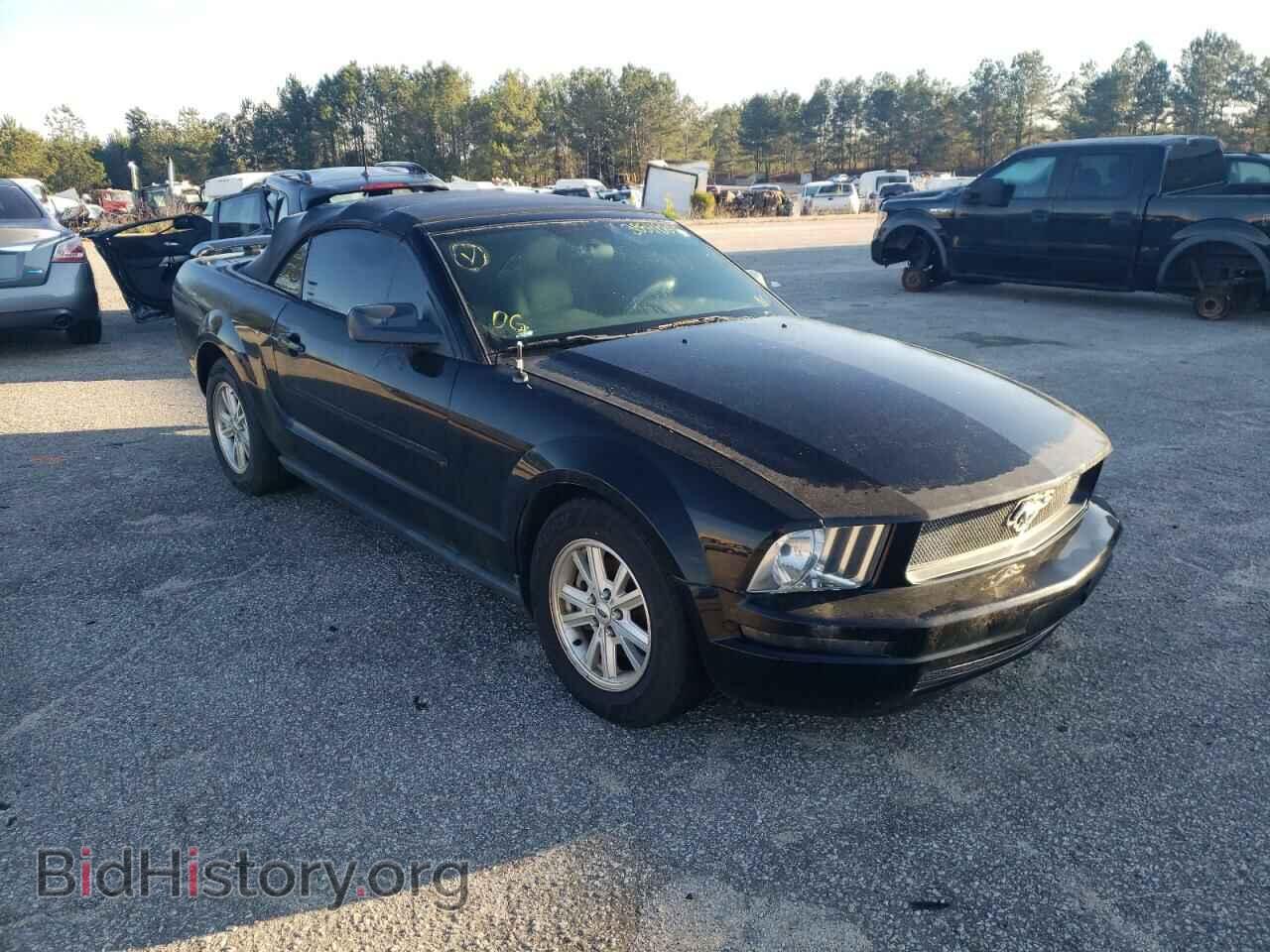 Photo 1ZVFT84N775260847 - FORD MUSTANG 2007