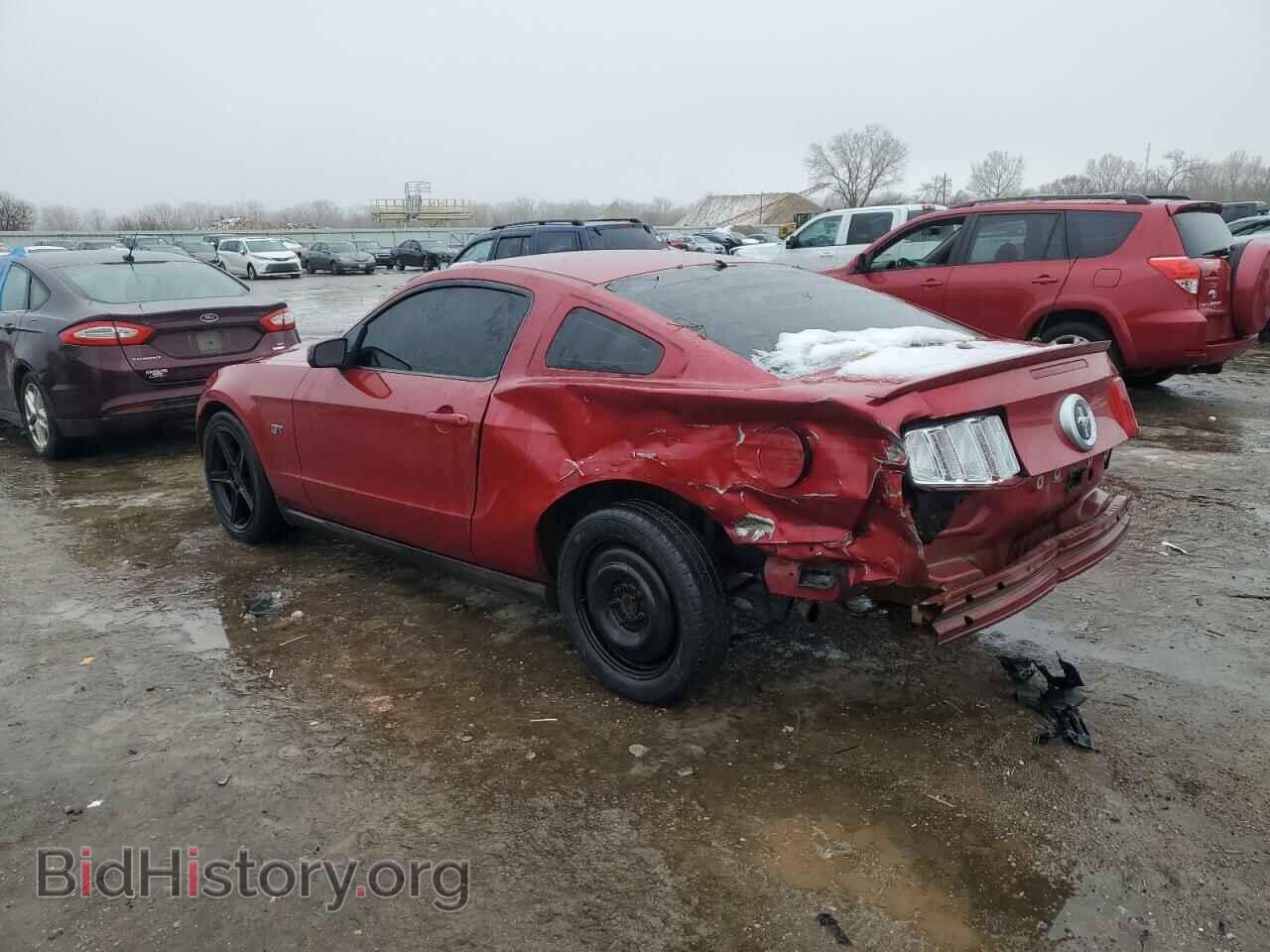 2010 FORD MUSTANG - VIN: 1ZVBP8CH3A5168754 - Фото 2