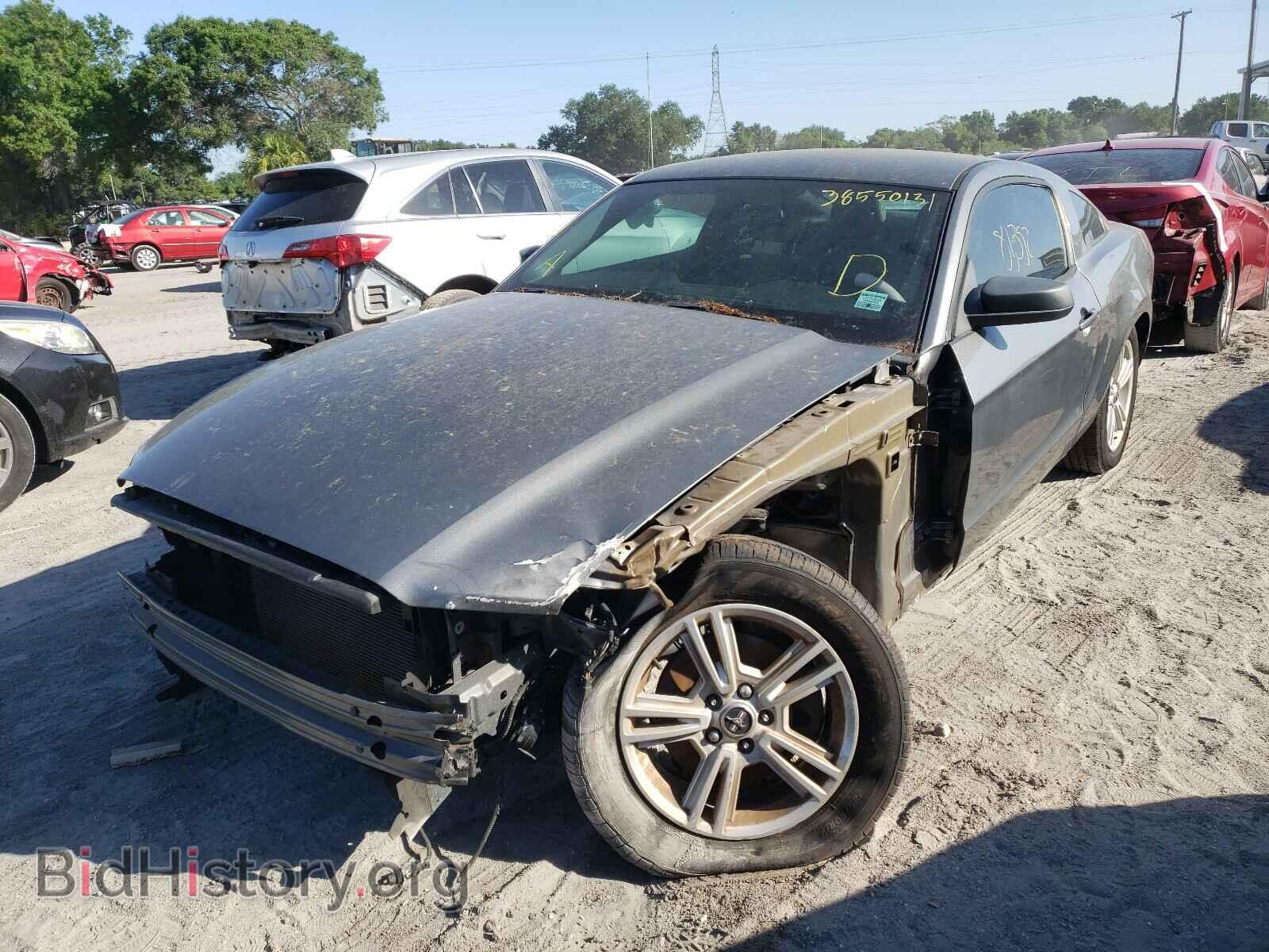 2013 FORD MUSTANG - VIN: 1ZVBP8AM8D5258518 - Фото 2
