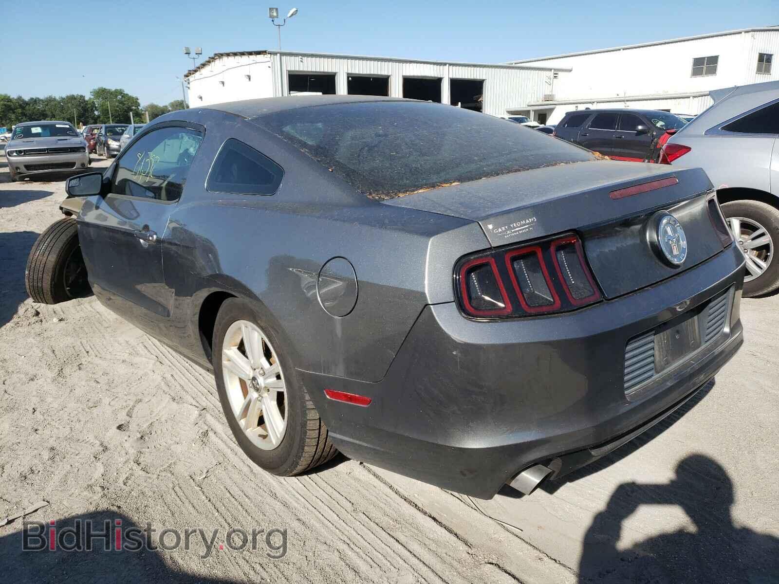 2013 FORD MUSTANG - VIN: 1ZVBP8AM8D5258518 - Фото 3