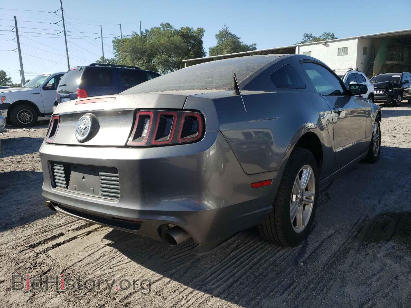 2013 FORD MUSTANG - VIN: 1ZVBP8AM8D5258518 - Фото 4
