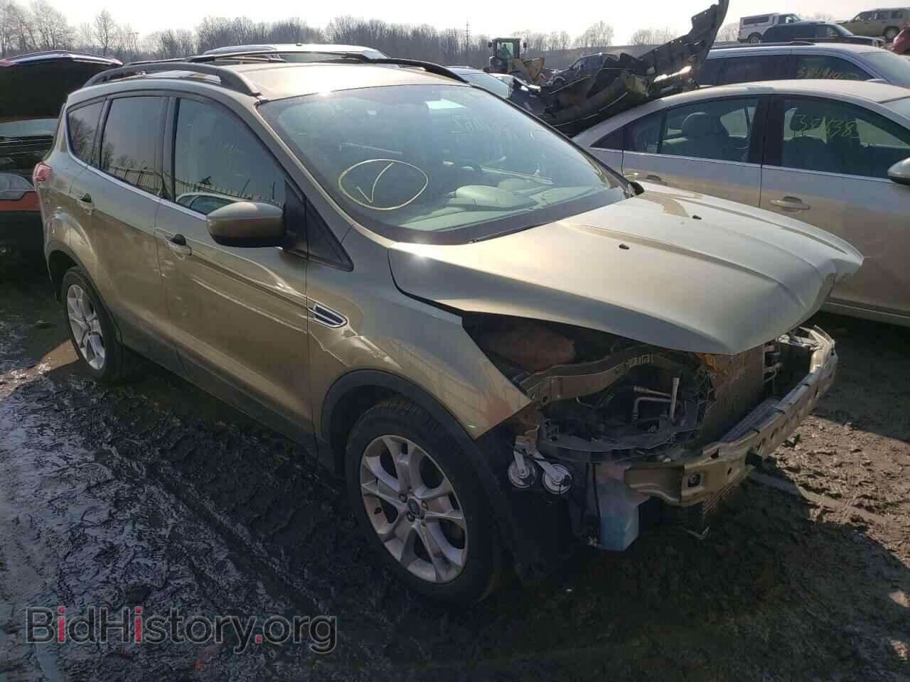 Фотография 1FMCU0G93DUC53961 - FORD ESCAPE 2013