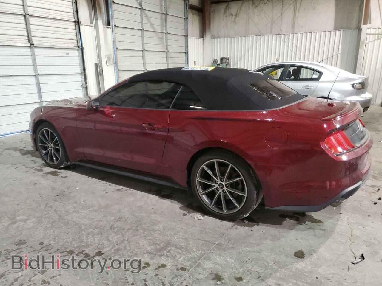 2019 FORD ALL Models - VIN: 1FATP8UH6K5159883 - Фото 2