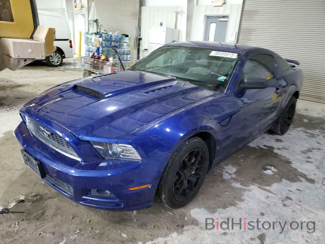 Photo 1ZVBP8AM8D5257000 - FORD MUSTANG 2013