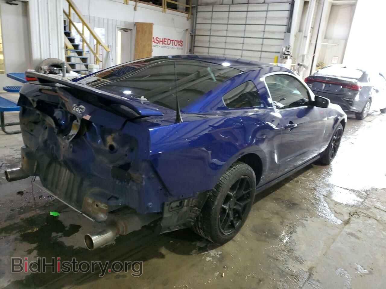 2013 FORD MUSTANG - VIN: 1ZVBP8AM8D5257000 - Фото 3