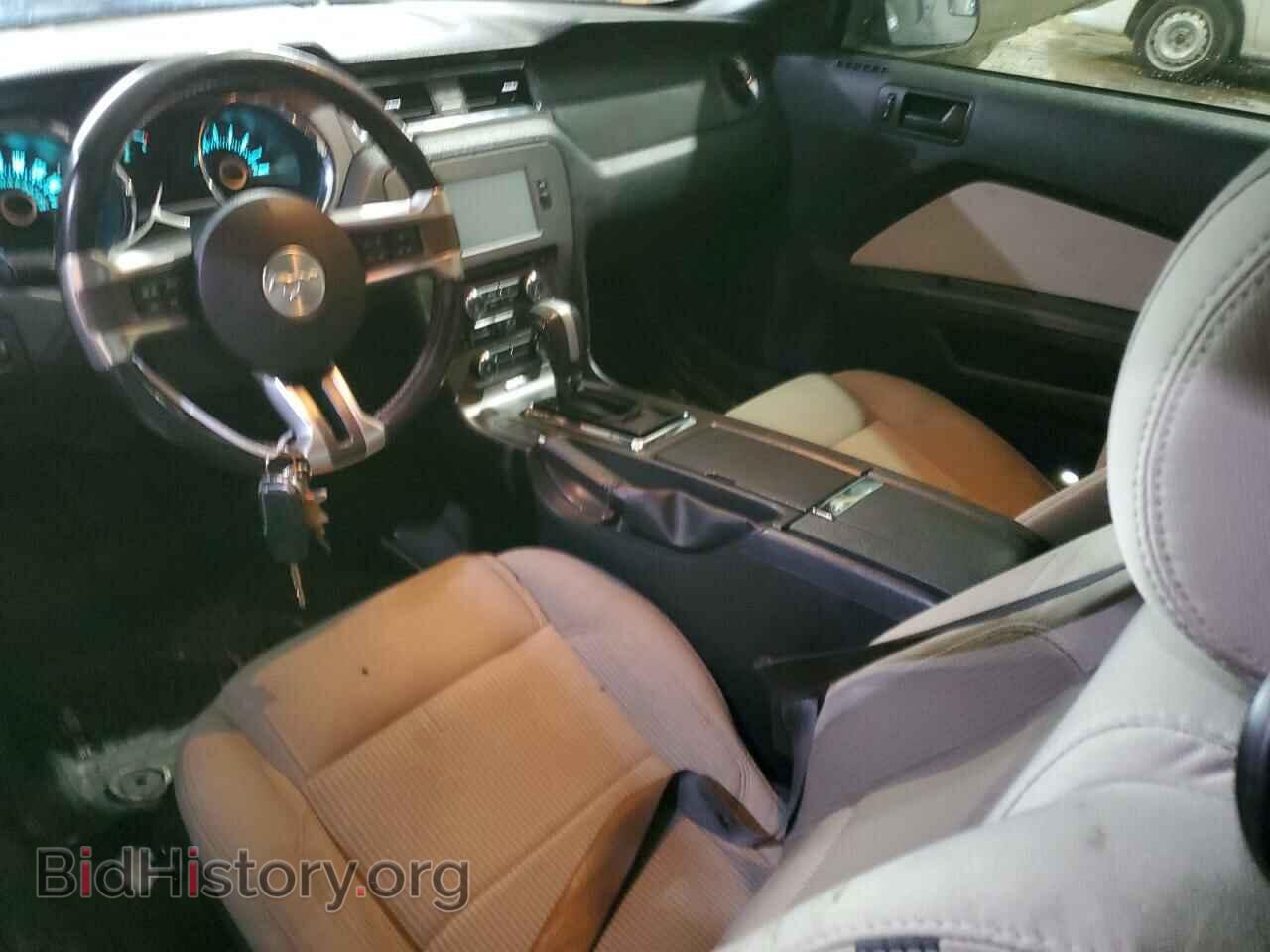 2013 FORD MUSTANG - VIN: 1ZVBP8AM8D5257000 - Фото 8