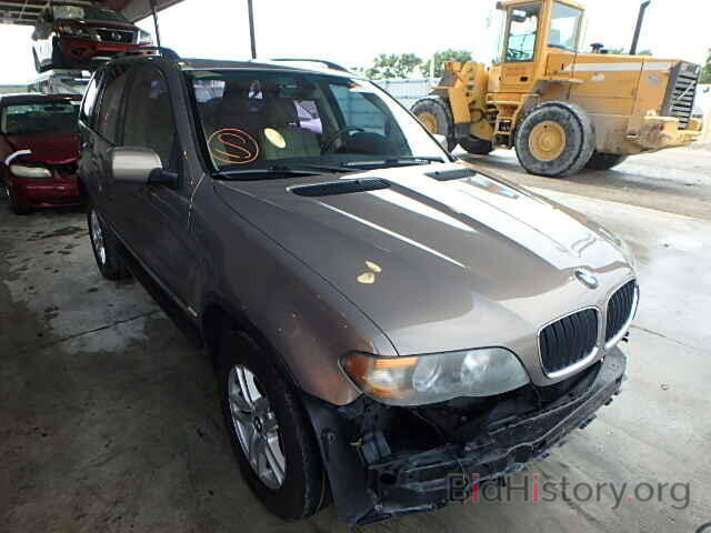 Photo 5UXFA13564LU33684 - BMW X5 2004