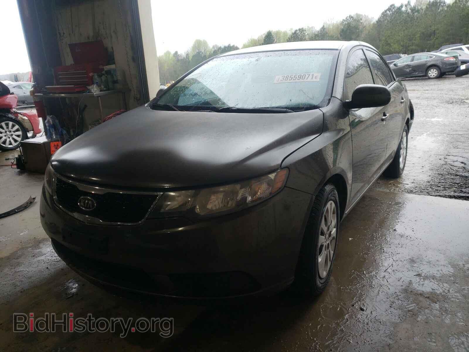 2011 KIA FORTE - VIN: KNAFU4A20B5345151 - Фото 2