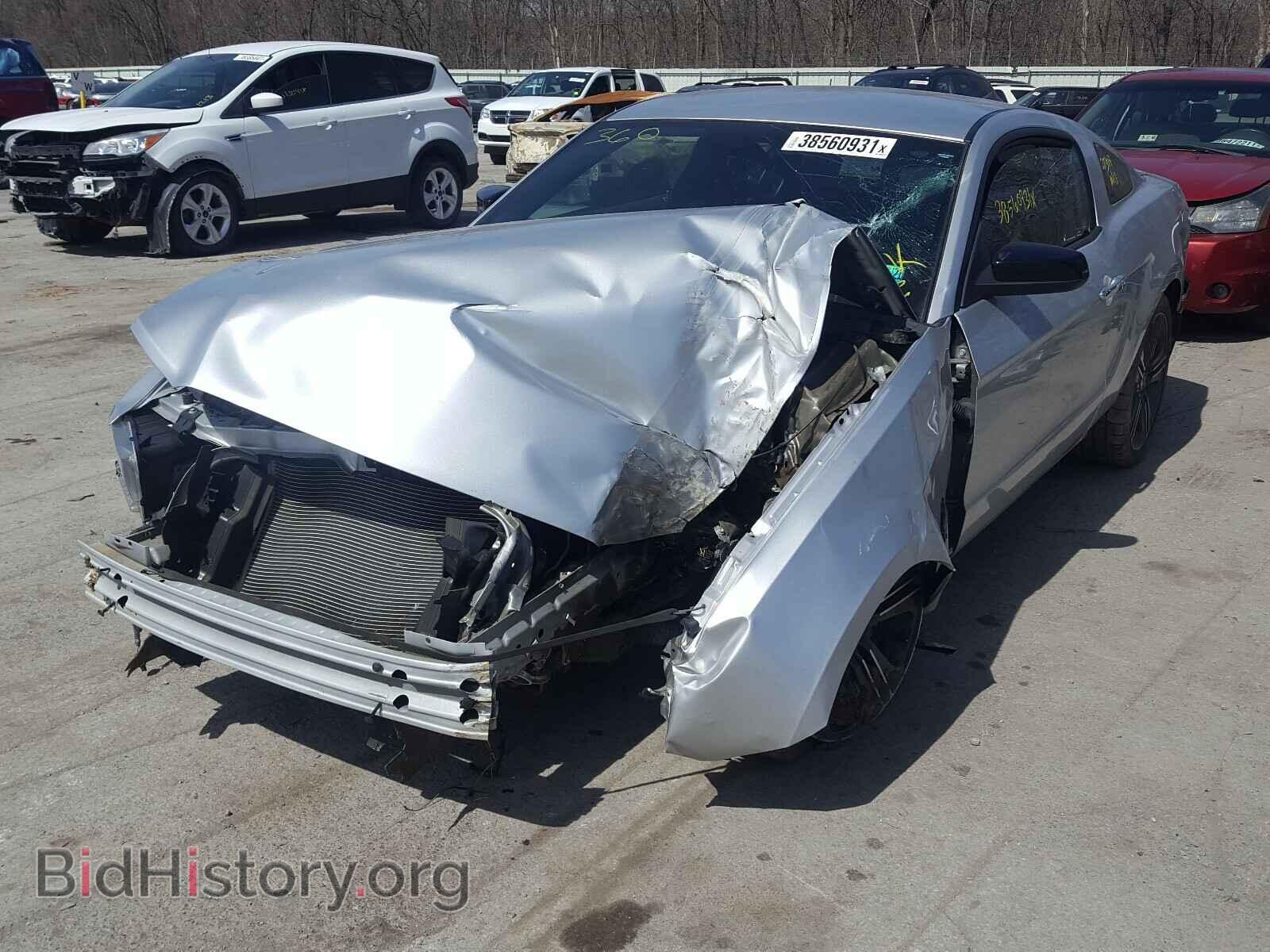 2014 FORD MUSTANG - VIN: 1ZVBP8AM0E5263018 - Фото 2