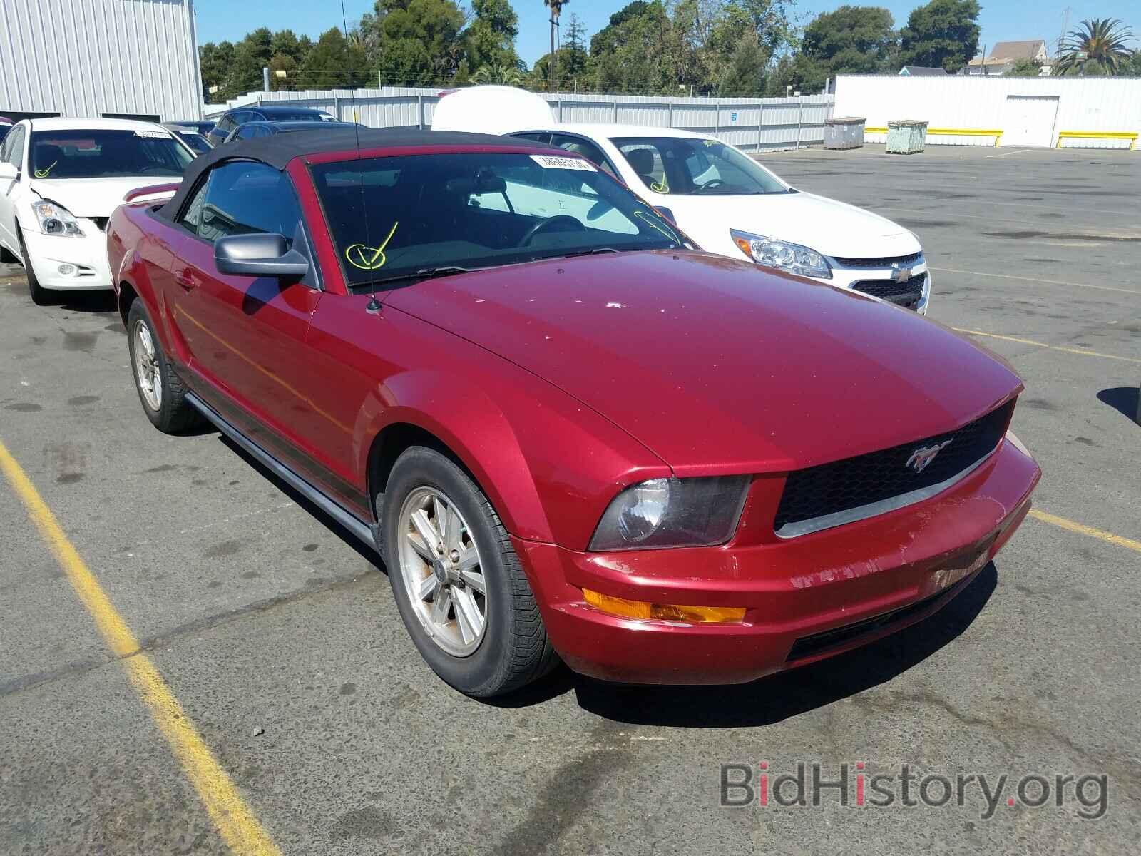 Photo 1ZVHT84N465201374 - FORD MUSTANG 2006
