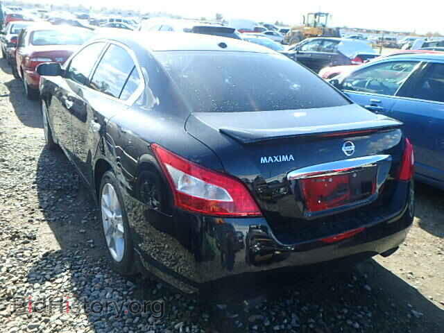 2010 NISSAN MAXIMA - VIN: 1N4AA5APXAC829304 - Фото 3